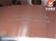Thiết bị lọc nước ASTM A182 F51 ((UNS S31803) Duplex Steel Weld Neck RF Flange B16.47