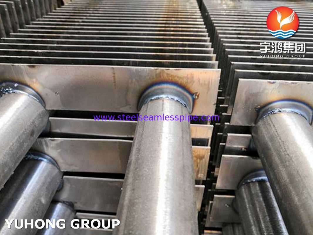 Bụi Vàng Thép không gỉ loại H A213 TP316L với SS Fin SS316L cho máy sưởi khói