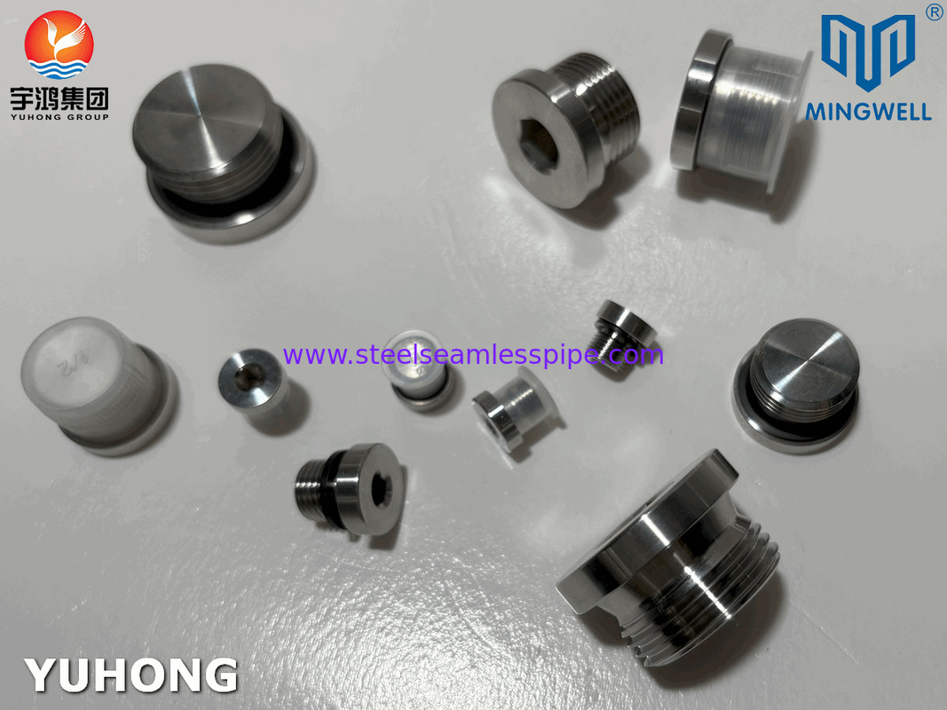 Ném 316L thủy lực thép không gỉ cắm cắm nam và nữ với tiêu chuẩn JIS B8363