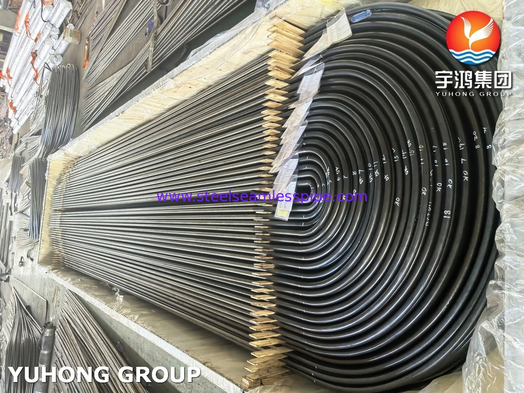 Máy trao đổi nhiệt bằng thép không gỉ ống u u A213/SA213 TP304L Đèn sáng ủ BA Mức không may TP304L / UNS S30403
