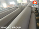 Bình ngưng ống thép có đường kính lớn / ống và ống liền mạch EN10216-5 Chất liệu TP310S, 904L