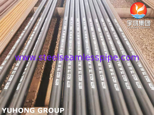 ASTM A213 T5 15Mo3 Chrom-Molybdenum hợp kim thép ống nồi hơi liền mạch kết thúc nóng
