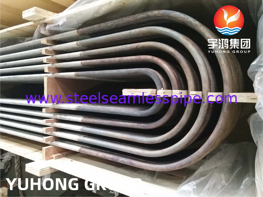 Bụi trao đổi nhiệt, ASTM A213 TP304L ((UNS S30403) Bụi U Bend không thô