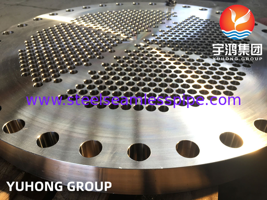 ASTM A182 F316L Bảng ống thép không gỉ cho máy trao đổi nhiệt