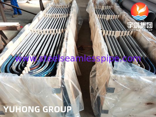 SA213 TP316L (UNS S31603, 1.4404) Ống trao đổi nhiệt U Bend với xử lý dung dịch, ướp và thụ động