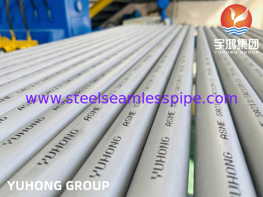 ASTM A213 TP316L, 1.4404, S31603 Bụi trao đổi nhiệt liền mạch bằng thép không gỉ