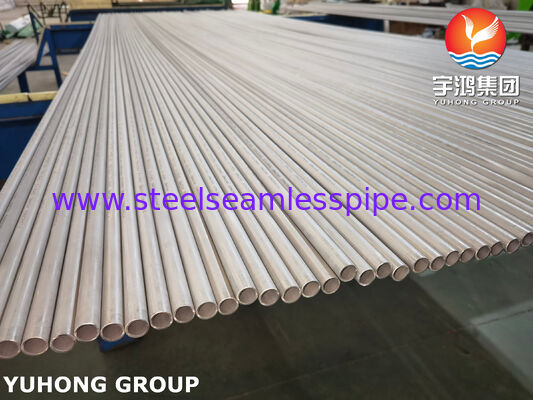 ASME SA213 TP316L ống thép không gỉ cho máy trao đổi nhiệt, ướp và nướng