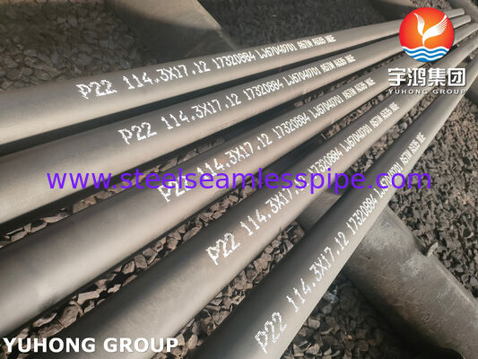 Thép hợp kim ASME SA335 P22 ống liền mạch cho nhà máy điện nhiệt