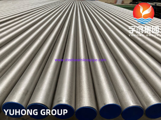 ASTM B407 N08810 Ống liền mạch hợp kim lạnh 50.8MM * 5.16MM * 6096MM