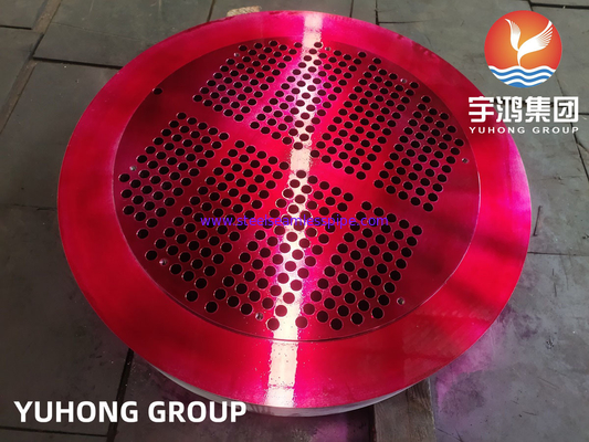 F304L STAINLESS STEEL TUBESHEET cho bộ trao đổi nhiệt vỏ và ống