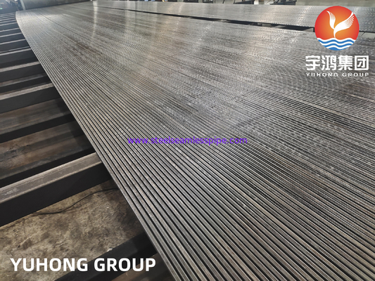 ASTM A213 / ASME SA213 T1 T11 T12 Thép hợp kim liền mạch ống cho lò hơi, Superheater, ứng dụng trao đổi nhiệt